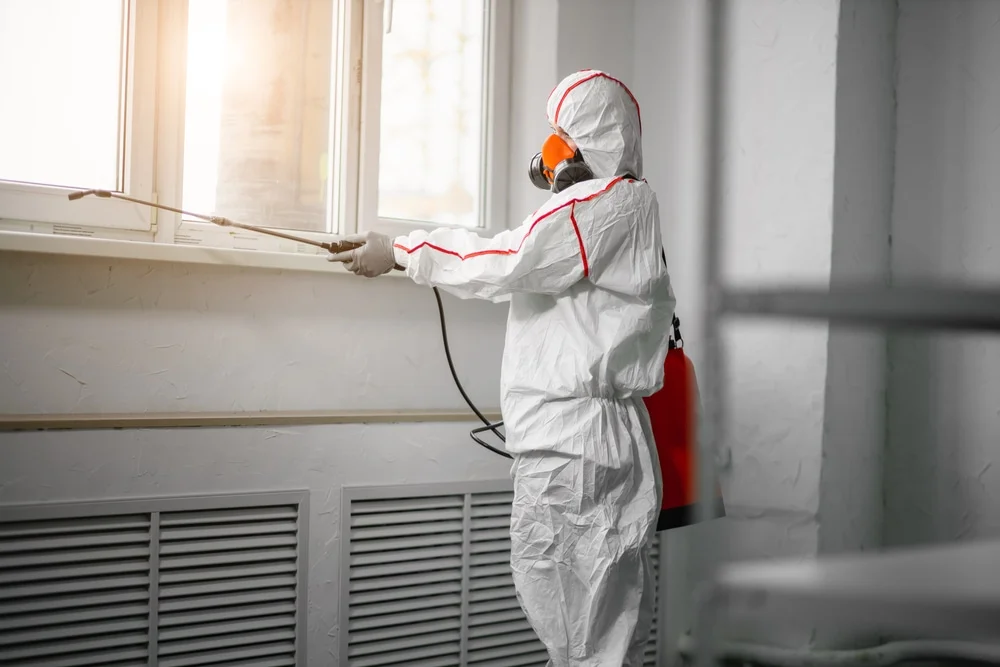 Professional mold remediation services in Malaga, NJ